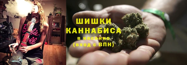 spice Краснослободск