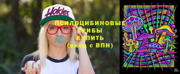 spice Краснослободск
