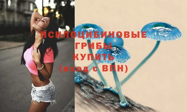 spice Краснослободск