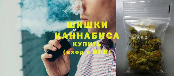 spice Краснослободск