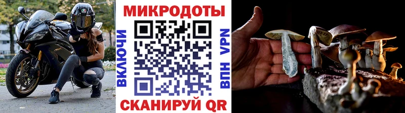 Псилоцибиновые грибы мухоморы  Купить где  Мценск 